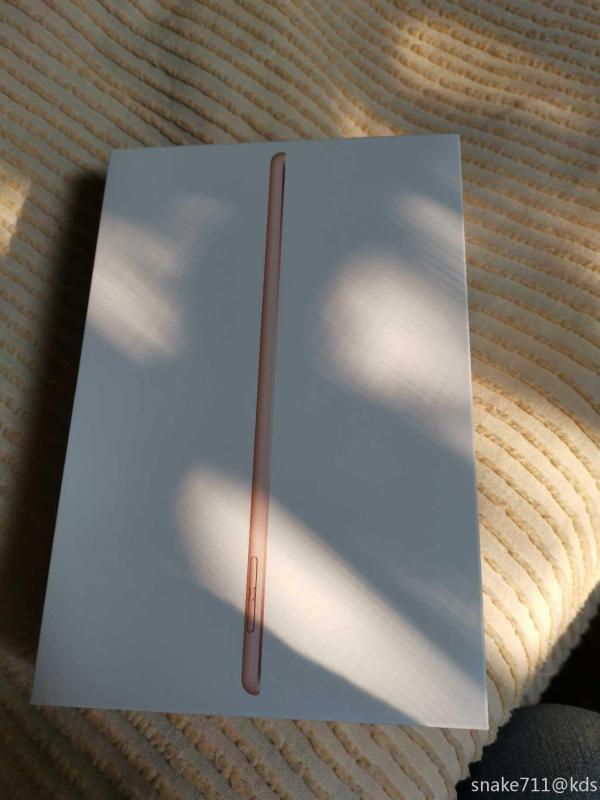 出iPadmini5国行256G金色