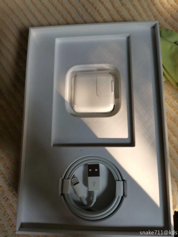 出iPadmini5国行256G金色