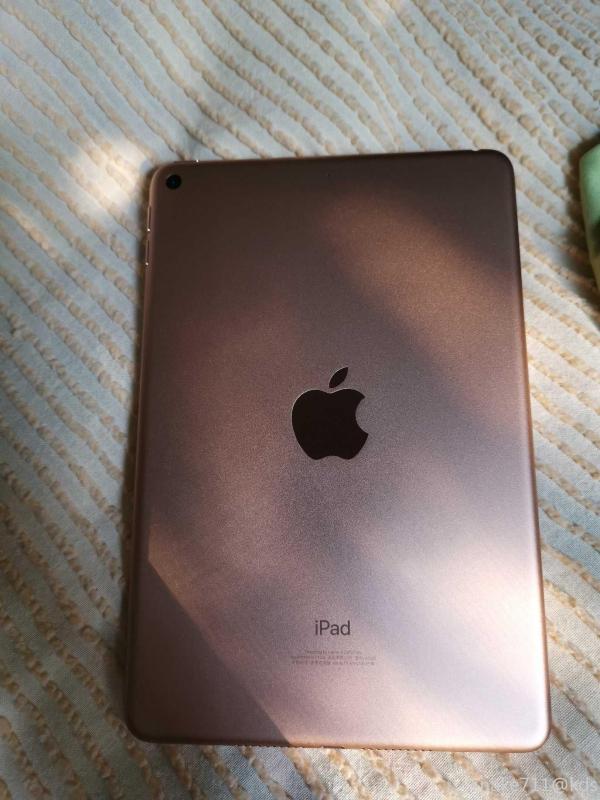出iPadmini5国行256G金色