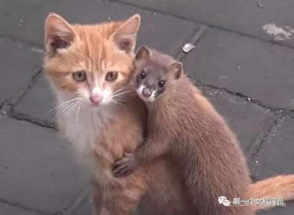 宽带山kds-宽带山社区-城市消费门户