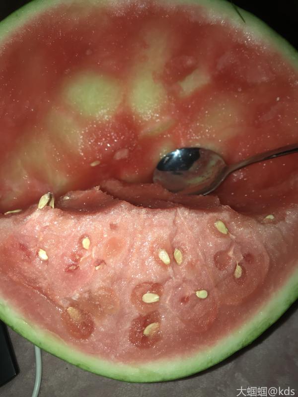 海南无籽西瓜(小白籽),5.