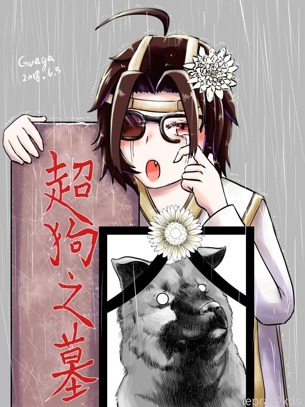 丧钟喂慕洋犬而鸣