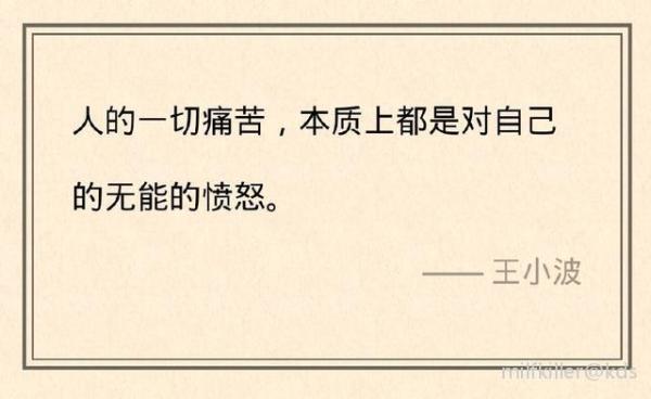 人的一切痛苦本质上都是对自己的无能的愤怒 --- 王小波