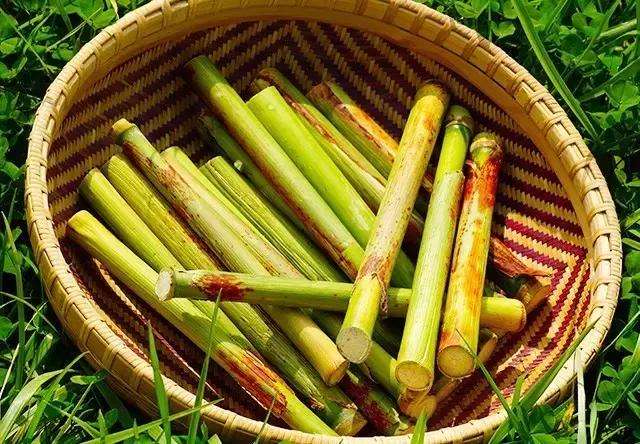 芦粟,上海传统美味!