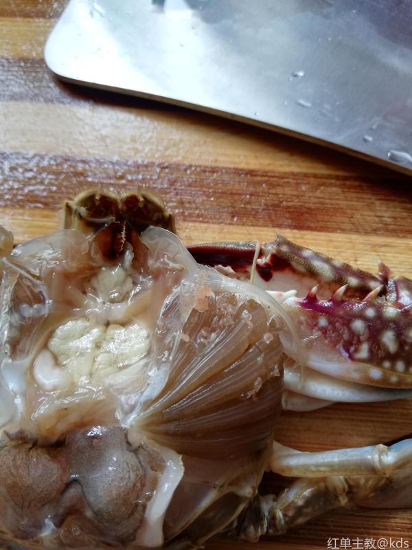 梭子蟹体内有寄生虫
