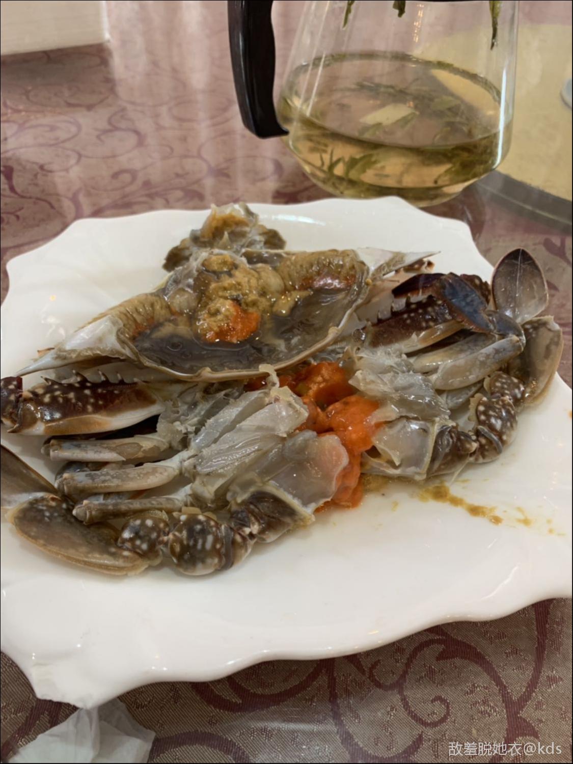 追寻着山上tf先驱的足迹品尝乍浦海鲜