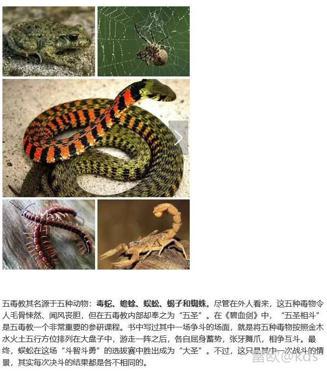 由邵氏经典电影五毒想到,现实中五毒(蜈蚣,毒蛇,蝎子,壁虎,蟾蜍)实力