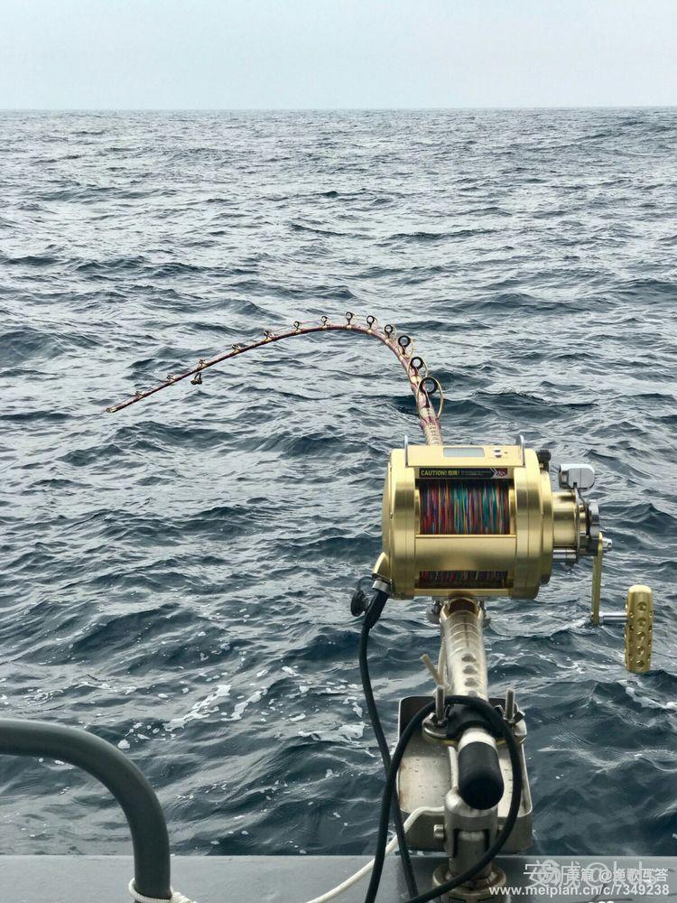 往深海里去,鱼都是一人多长,要这种