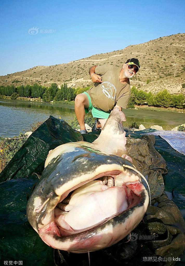 釣魚愛好者捕獲巨型鯰魚