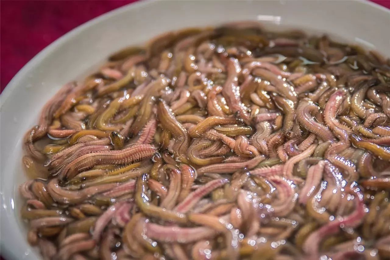 去过顺德的朋友请教一下