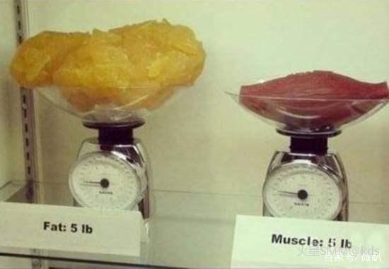 呃,真要减肥了,怪不得减10斤脂肪,人真的会像气球缩小几圈