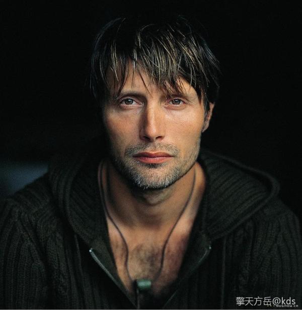 这种算正宗日耳曼脸吧?