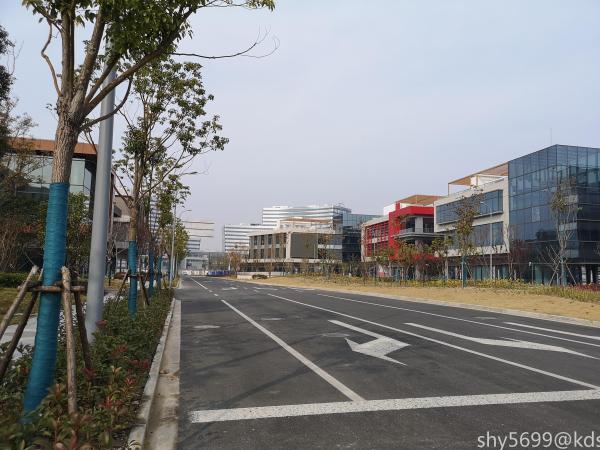 去外高桥森兰走了走,看看环境,还不错.