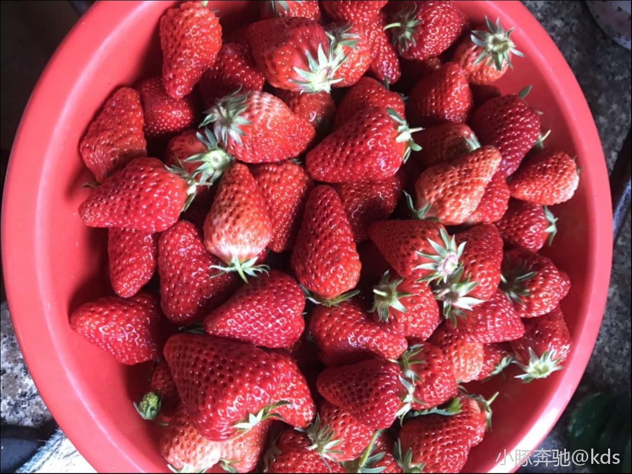 上海朋友现在吃草莓吗?