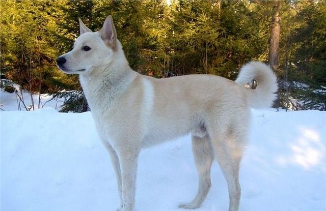 山上名匪住惠南民乐大居的很多