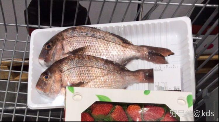 Costco的红鲷鱼怎么做好吃 Kds宽带山