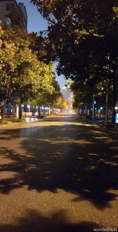 可以出来散步吗,一个人都没有,怕怕