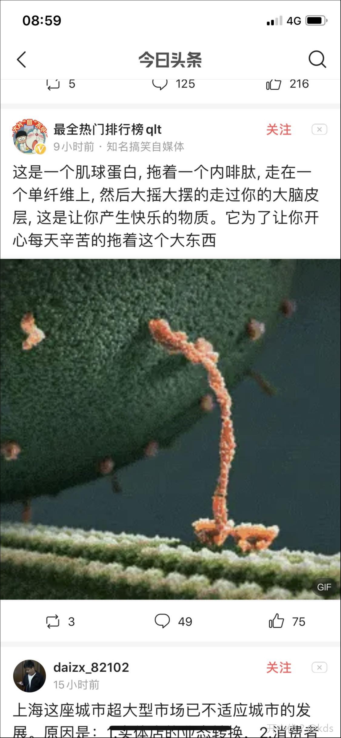 一个肌球蛋白拖着一个内啡肽走在单纤维上