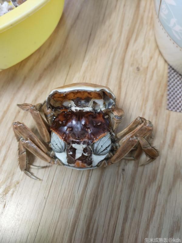 没想到两月的小毛蟹都这么肥