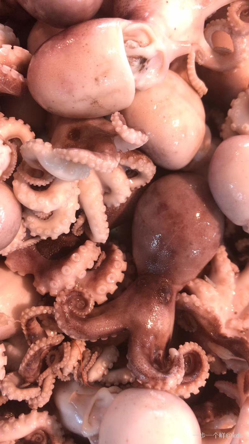 厨师级别!这小八爪做的