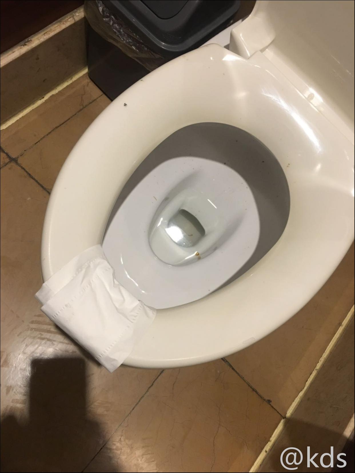 在公共卫生间大便也要有仪式感?