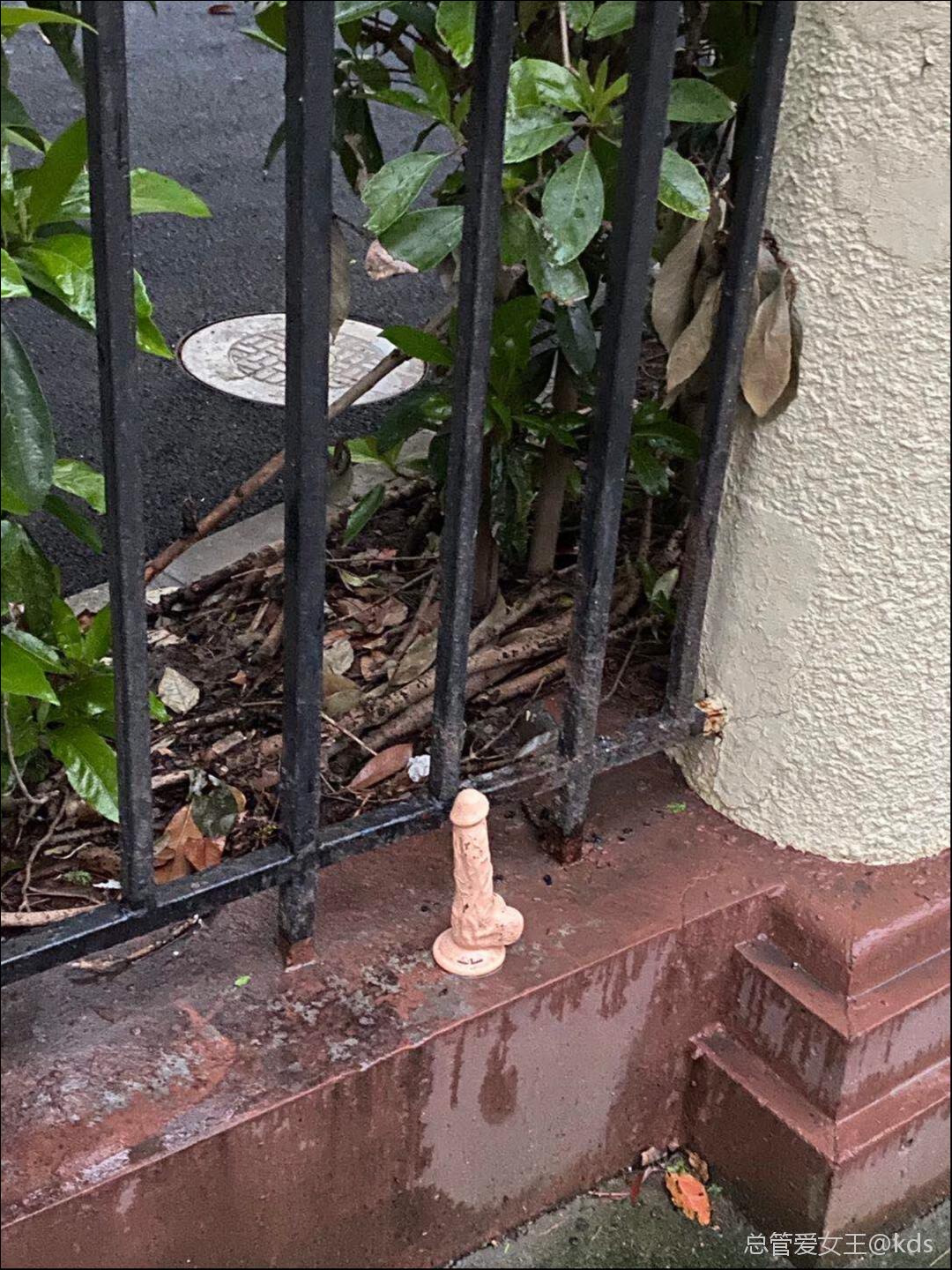 哪家小姐姐的东西掉了