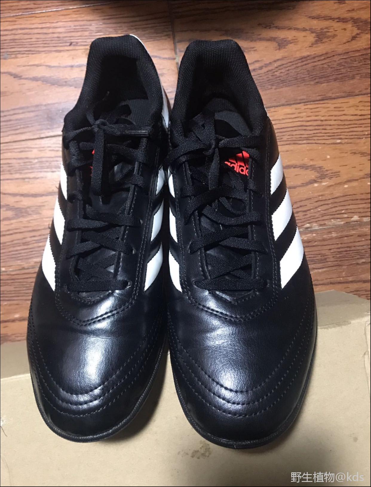 出43码全新正品足球鞋joma恩宝puma阿迪达斯