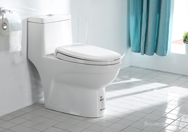 请教老法师,实体店里购买一个五六百左右的抽水马桶,需要注意哪些事情