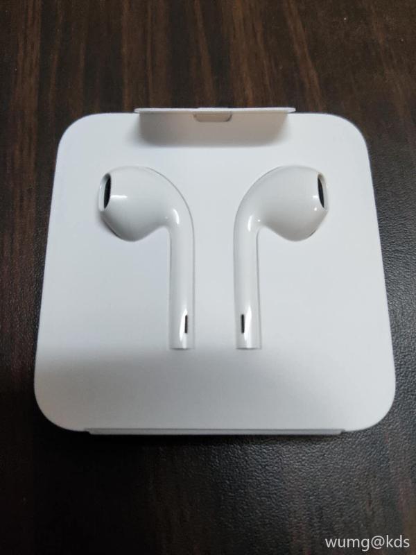全新苹果耳机50元 闪电接头