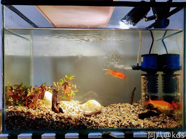 100块打造的鱼缸 宽带山kds 宽带山社区 城市消费门户