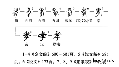 和大家聊聊孝顺的标准