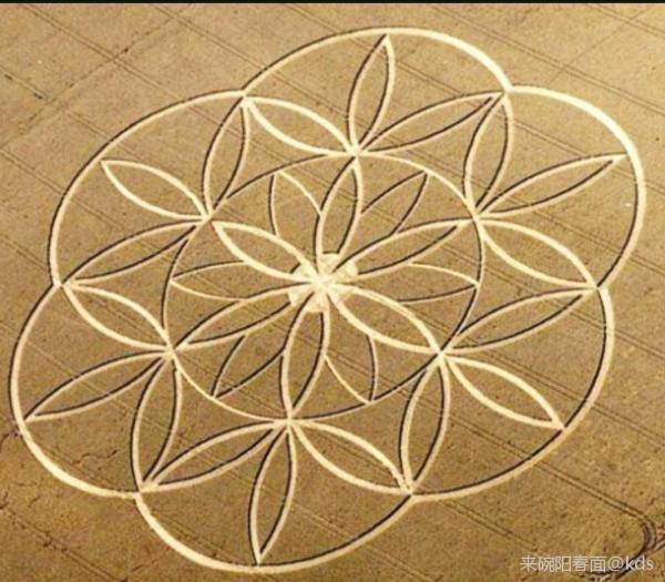 古埃及神秘学派的核心,是一个无所不包的几何符号:生命之花(lower of
