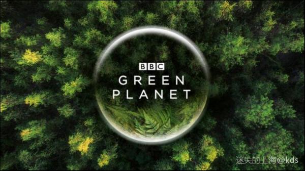 湖南卫视花钱拍的出"完美星球"这种片子吗?