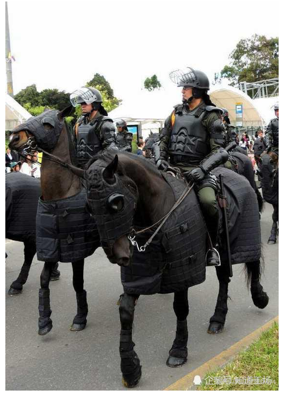 印度新德里赵子龙