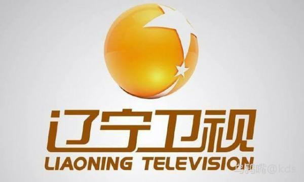 东方卫视居然叫番茄台