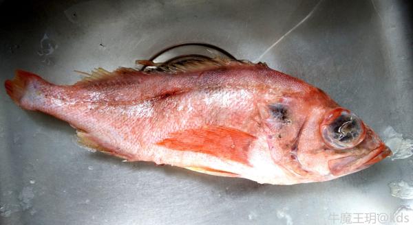 问下这是什么鱼?眼乌子真大,好吃吗