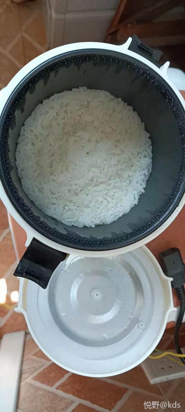 太阳能12v电饭煲吃饭图来了