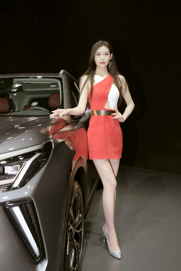 2021上海国际车展车模