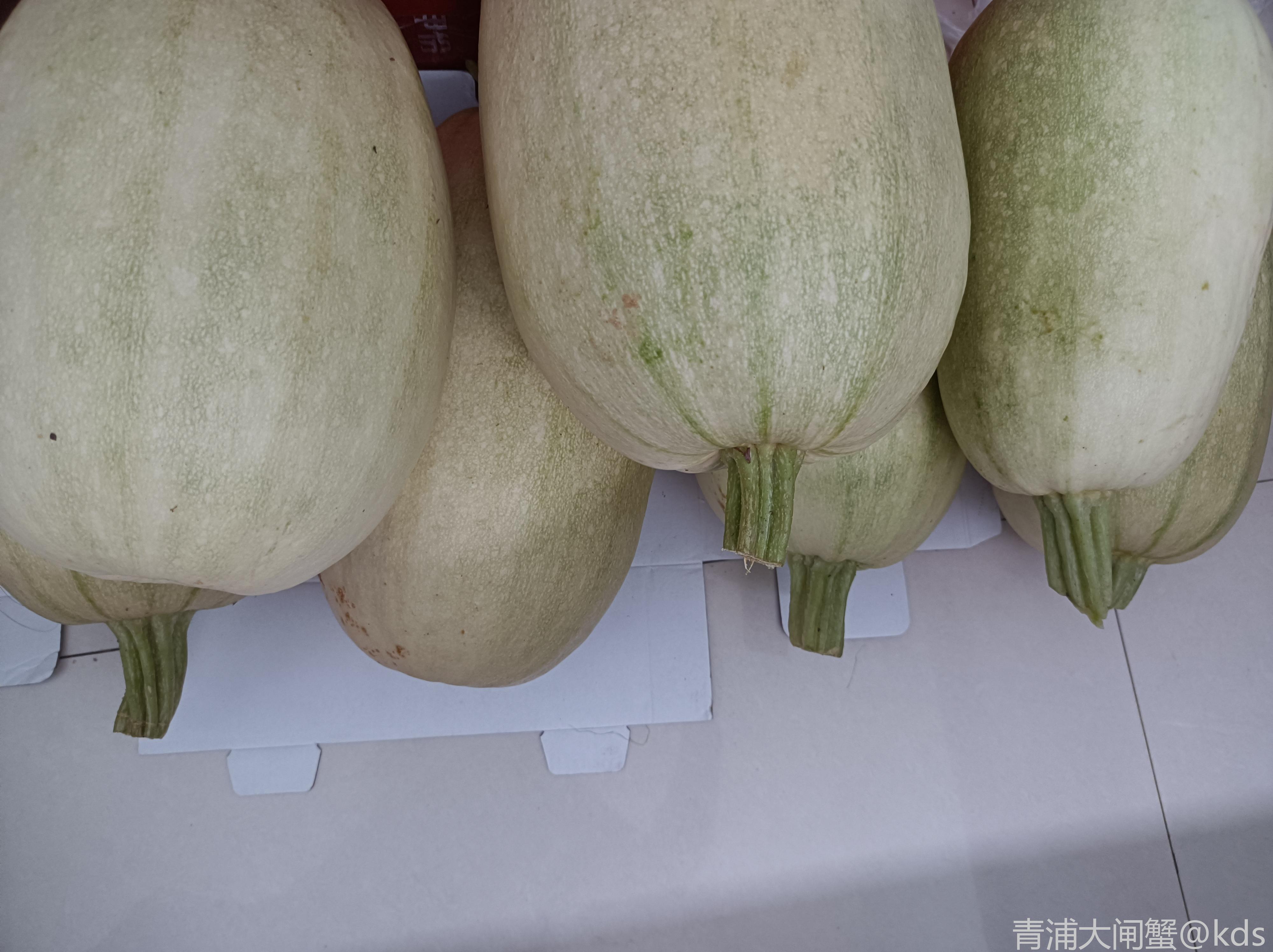 这是几年前崇明岛带回来的一个金瓜,里面的瓜籽种出来的,每年都能长几
