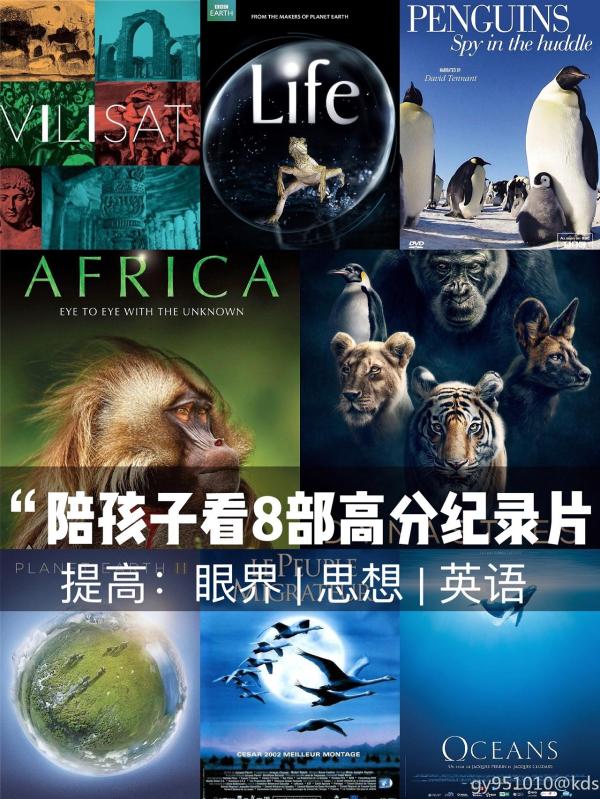 关掉动画最值得和孩子一起看的纪录片推荐