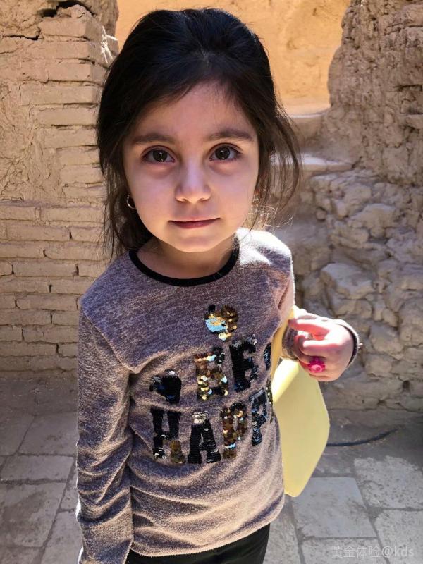 向水哥学习,为kds做贡献,写一篇伊朗游记