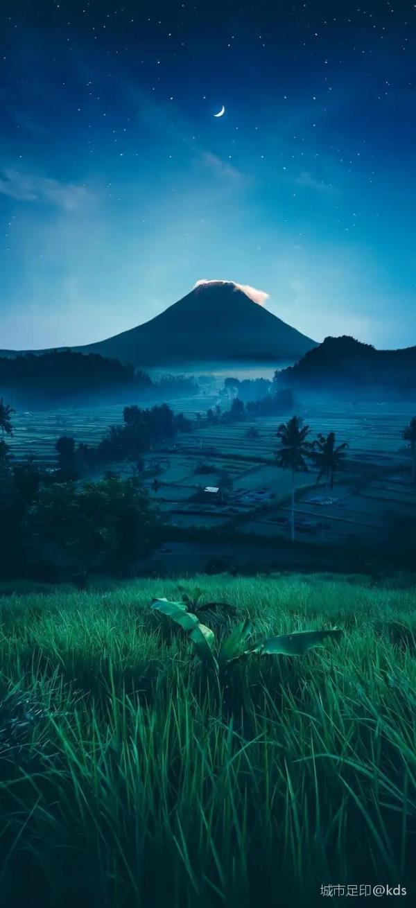 600_1310竖版 竖屏