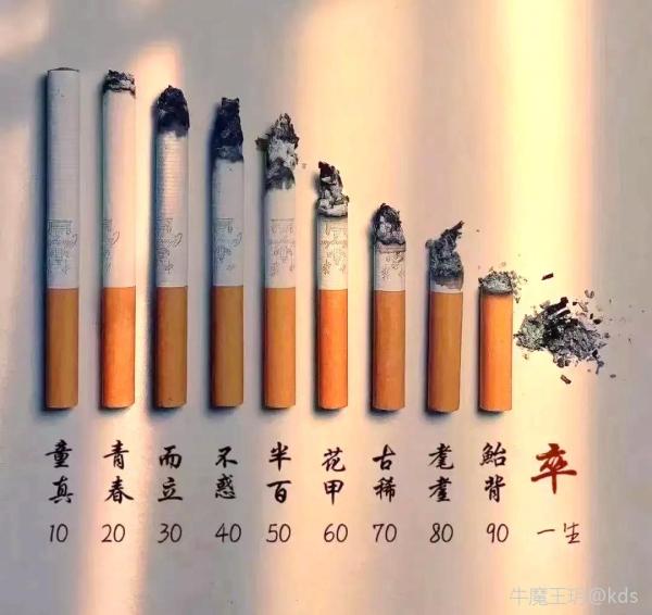 人生如烟,燃尽方休