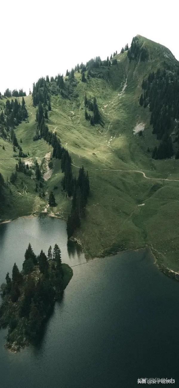 600_1300竖版 竖屏