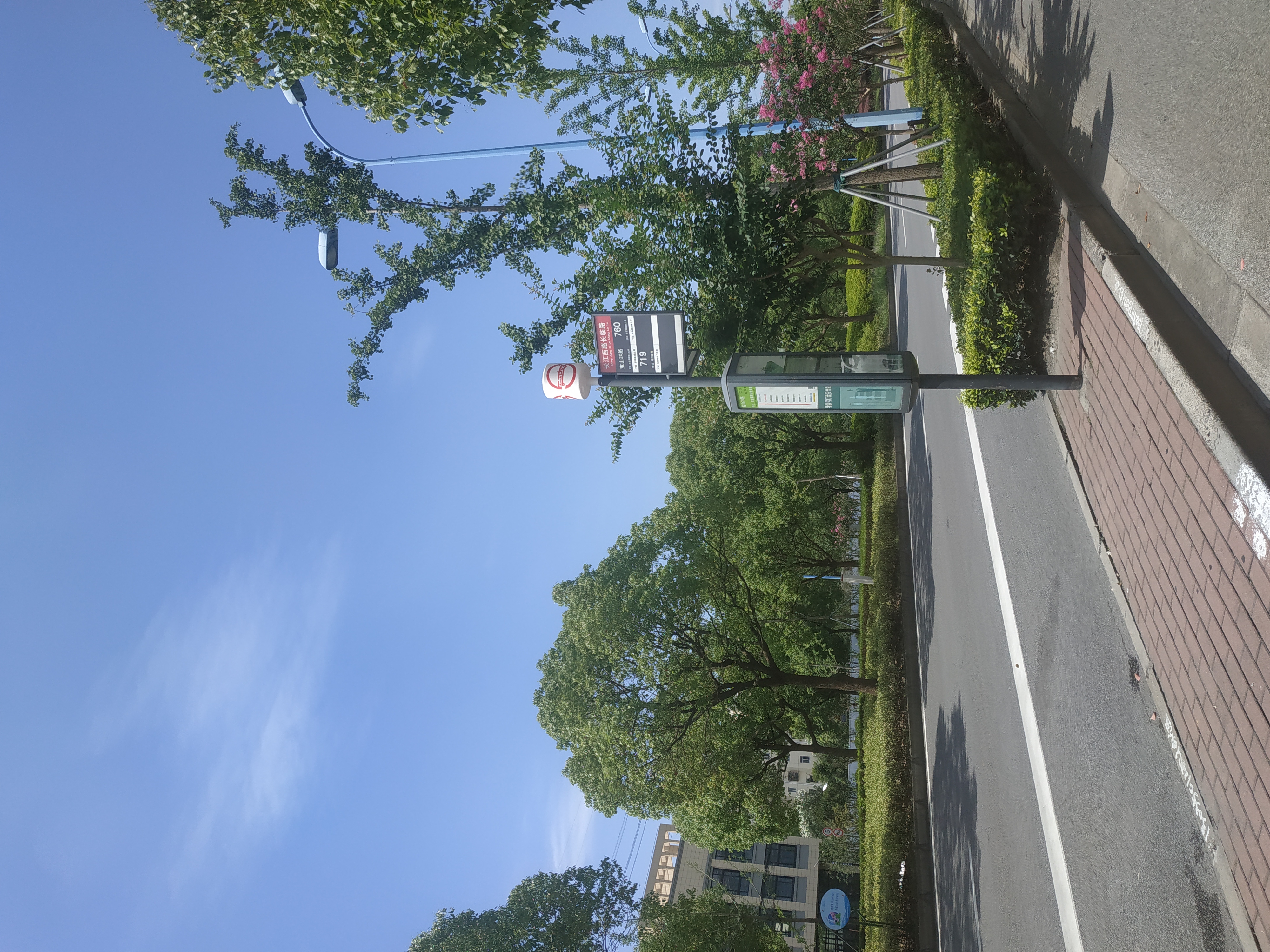 实地走访宝山区庙行镇