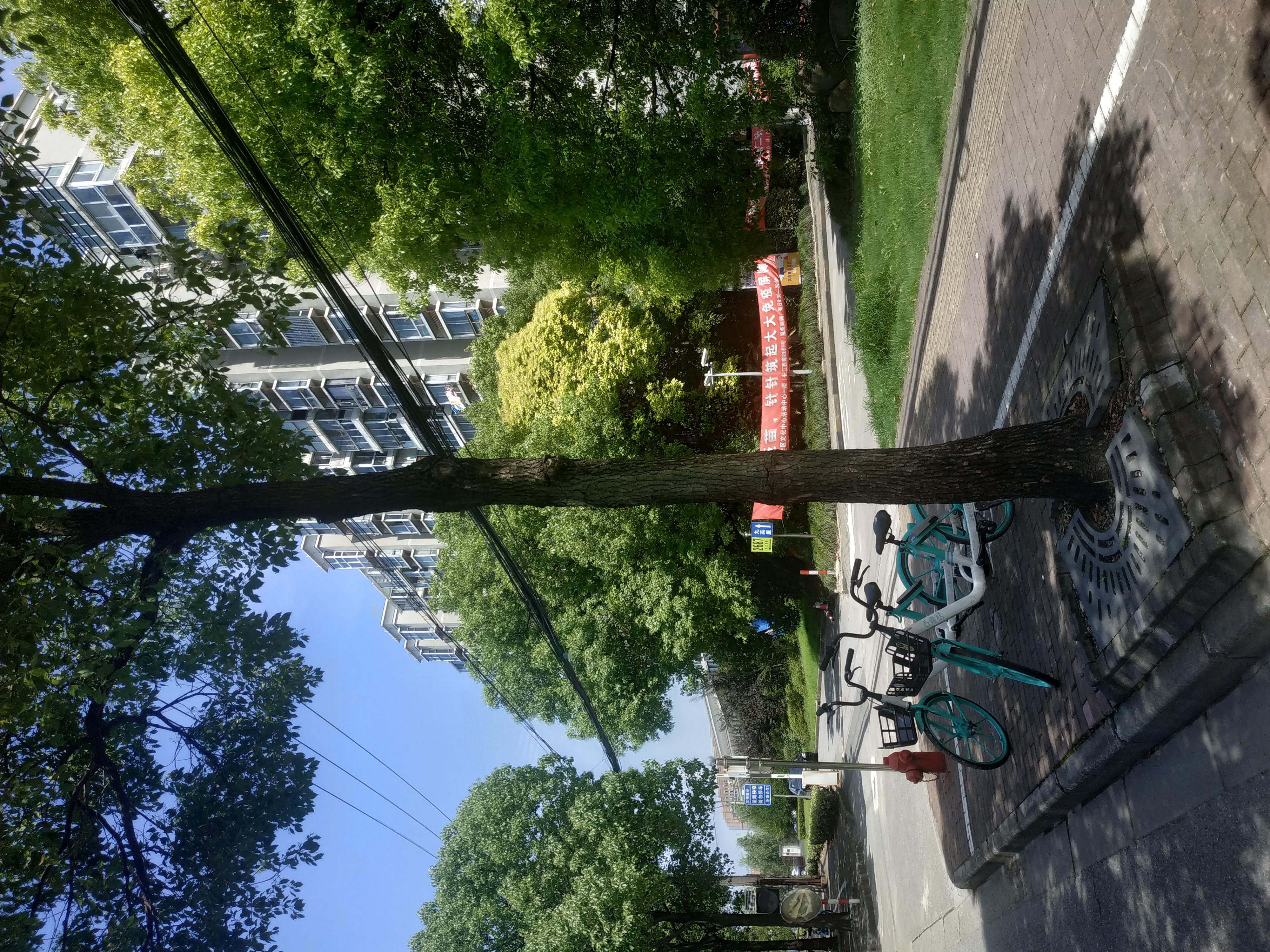 实地走访宝山区庙行镇