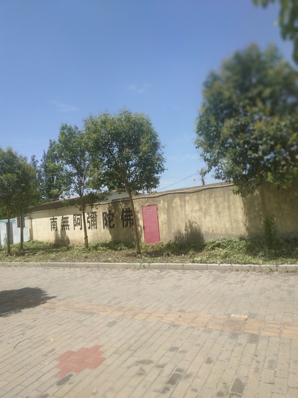 实地走访宝山区庙行镇