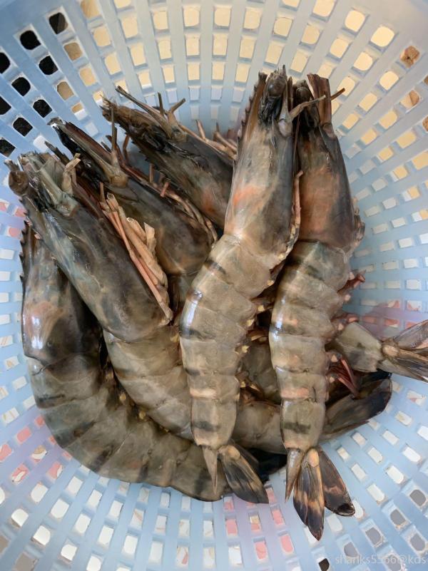 河虾涨价了,吃黑虎虾吧-宽带山kds-宽带山社区-城市消费门户