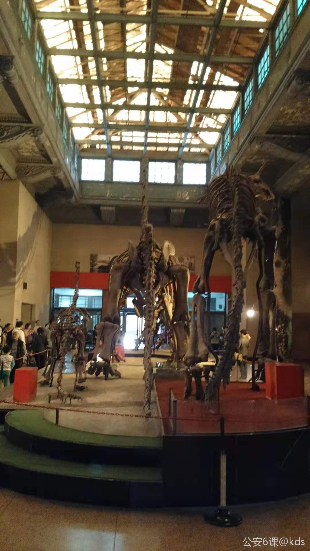 看了tf的帖子,勾起了自然博物馆老馆的回忆.放几张老馆照片怀旧.