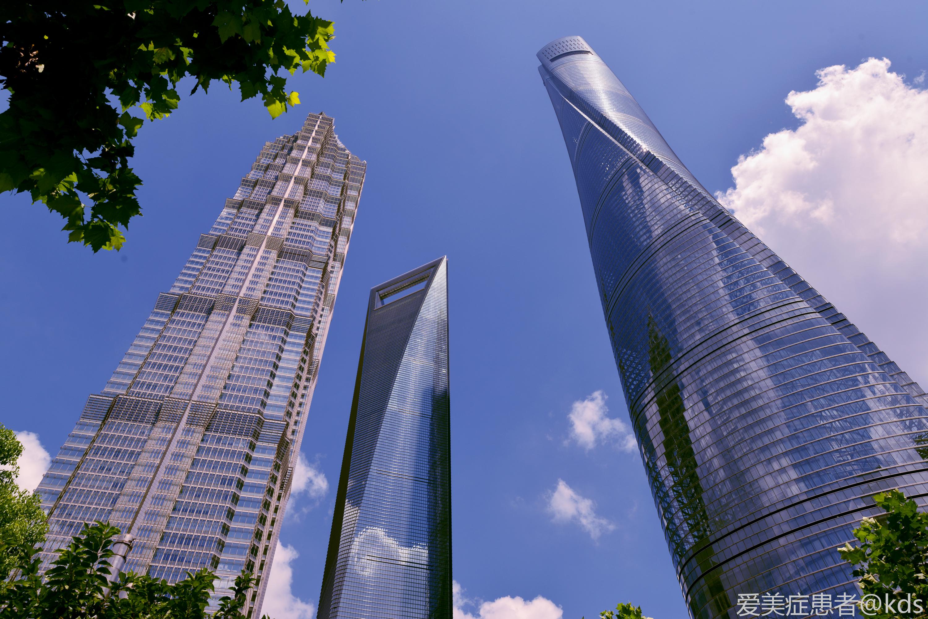 我魔都地标真美